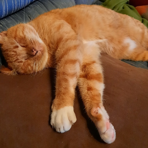 Meet your Posher, Heather - Picture 1 of 1